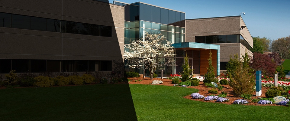 Dedham Landscapers