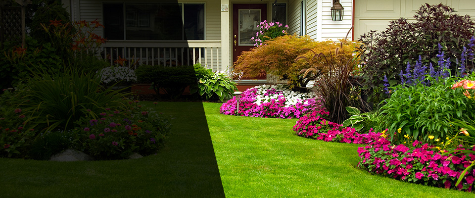 Dedham Landscapers