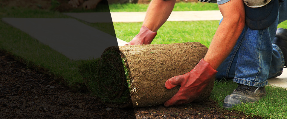 Dedham Landscapers